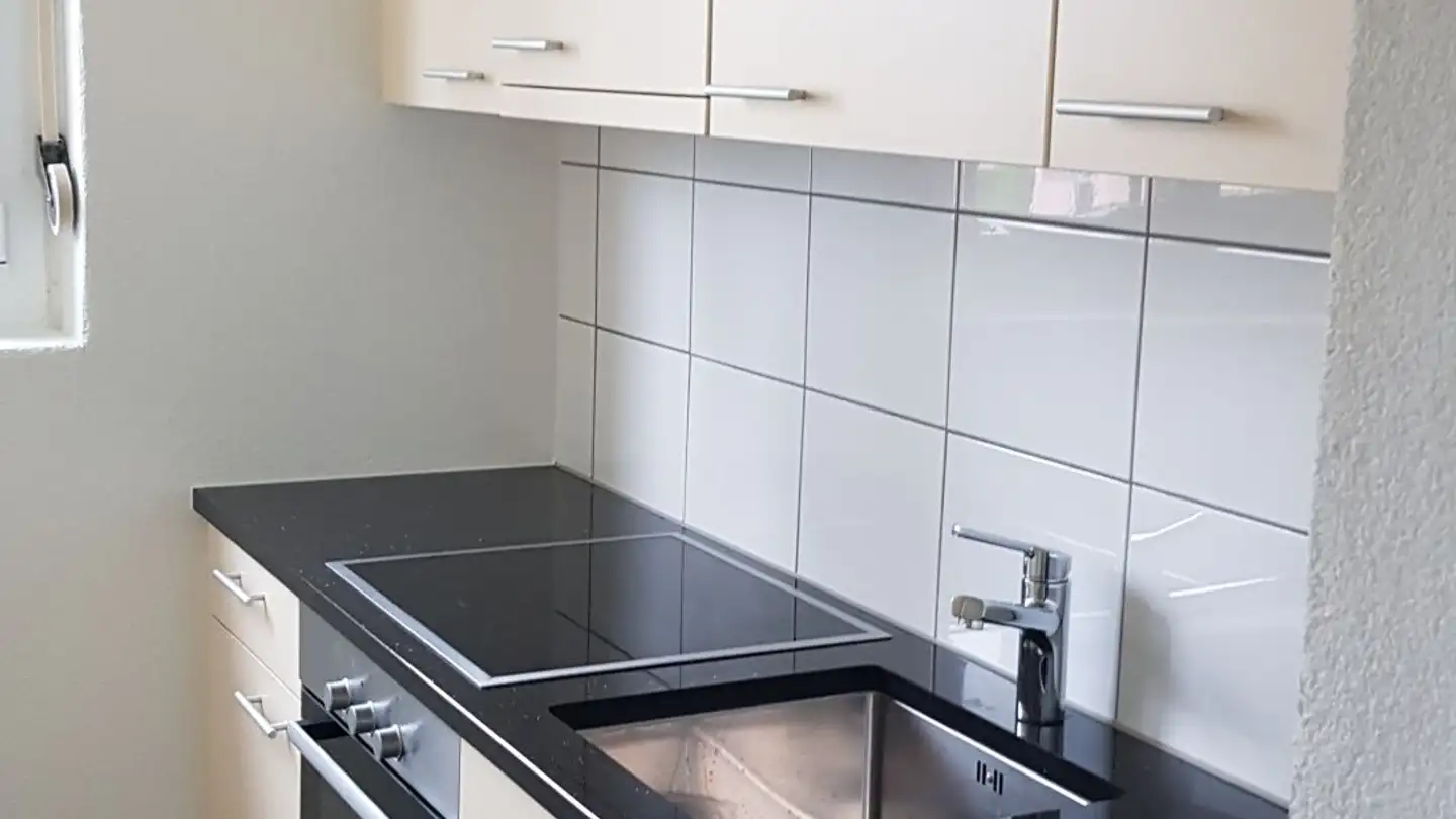 Appartamento in affitto - Lenzburgerstrasse, 5103 Wildegg - Photo 2