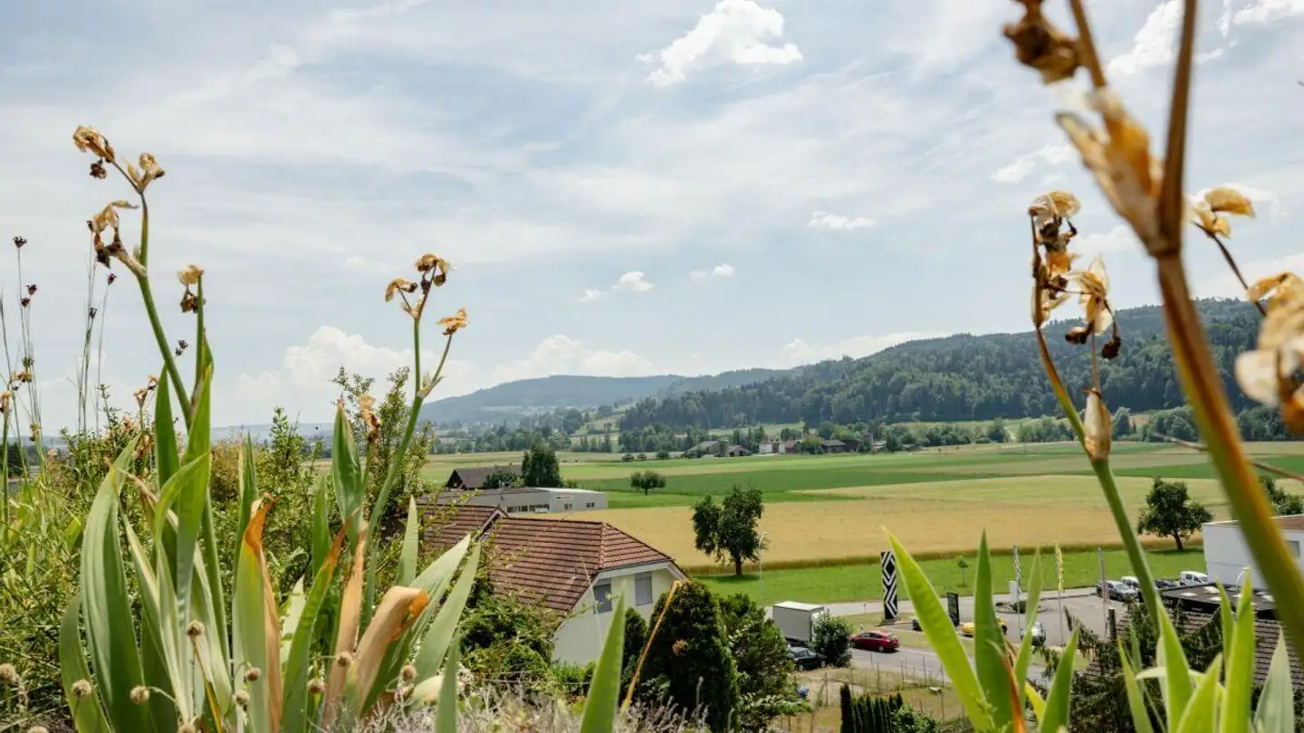 Villa for sale - Breitenbühlweg 8d, 5727 Oberkulm - Photo 4