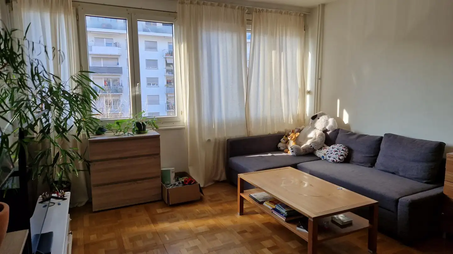 Appartamento in affitto - 1202 Genève