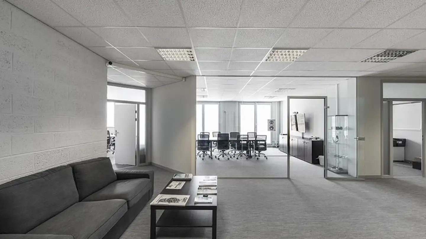 Immeuble mixte à louer - Chemin Des Aulx 12, 1228 Plan-les-Ouates