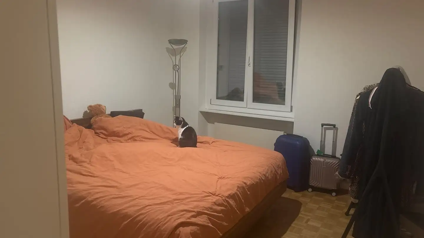 Appartamento in affitto - Via Serafino Balestra, 6600 Locarno - Foto 3