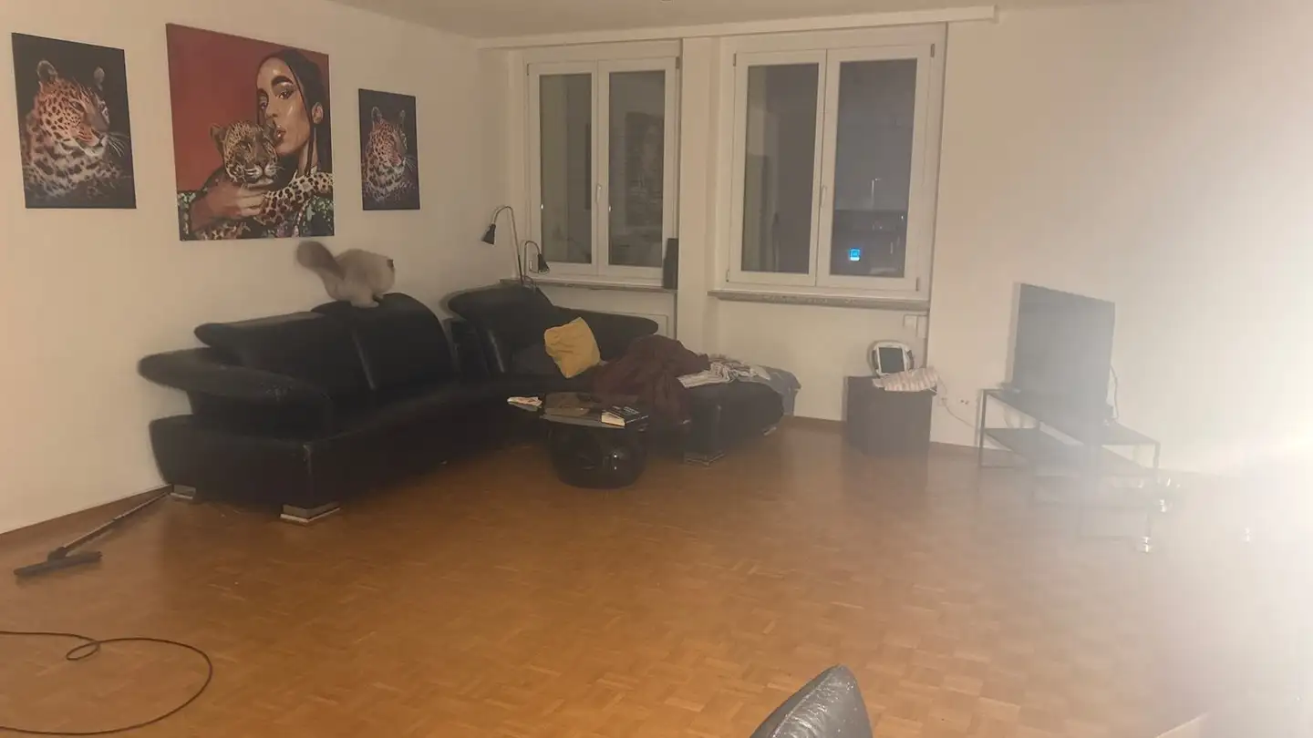 Appartamento in affitto - Via Serafino Balestra, 6600 Locarno