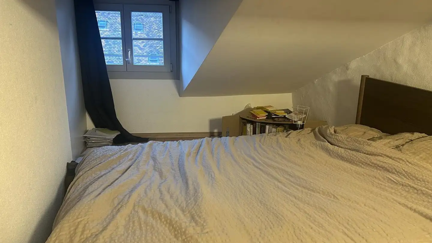 Single room for rent - Grand-Rue 57, 1700 Fribourg - Photo 3