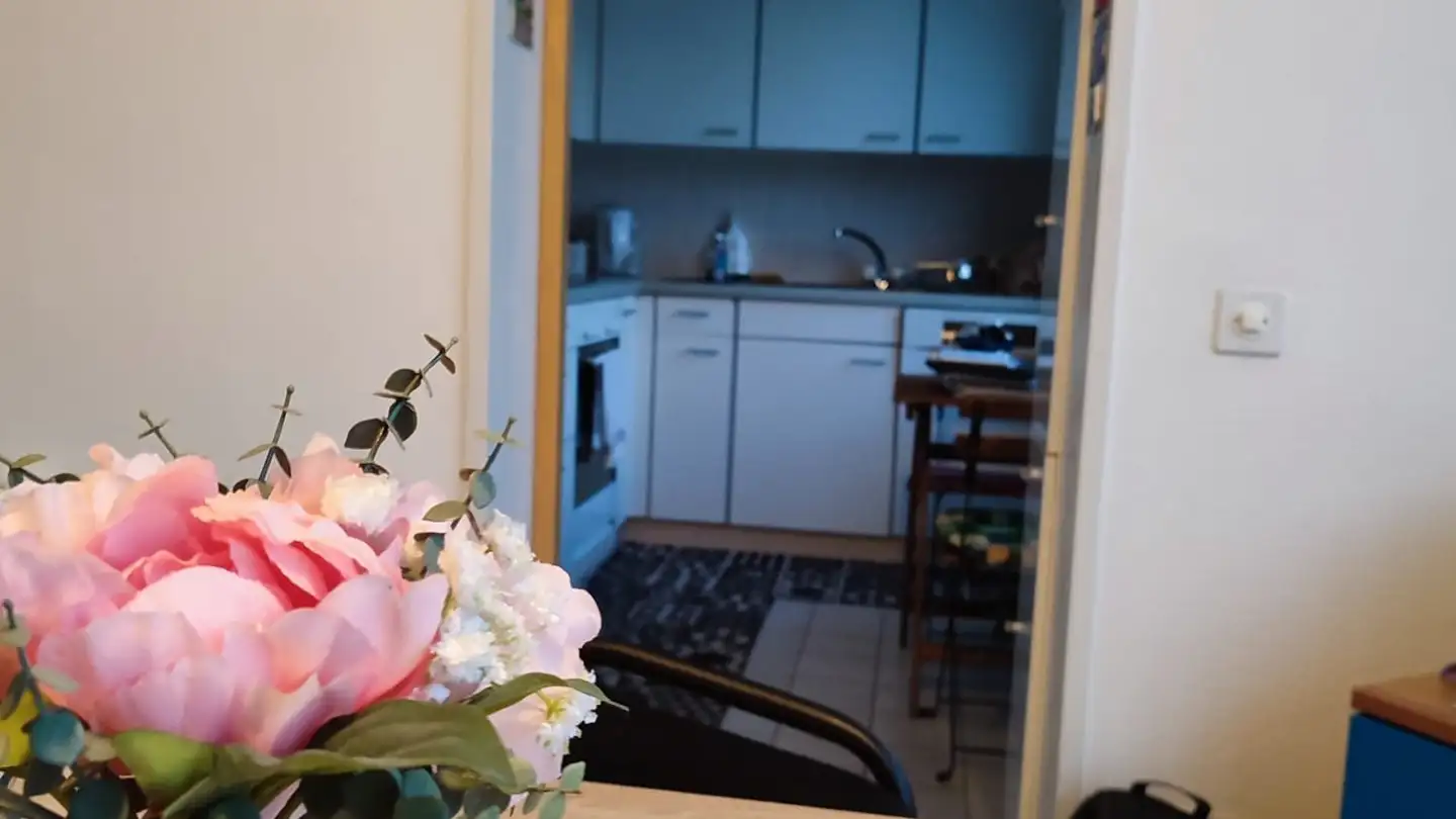 Wohnung kaufen - 6828 Balerna