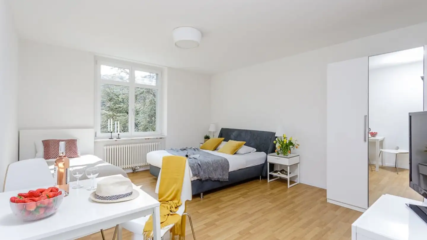 Appartement meublé à louer - Delsbergerallee 92, 4053 Basel