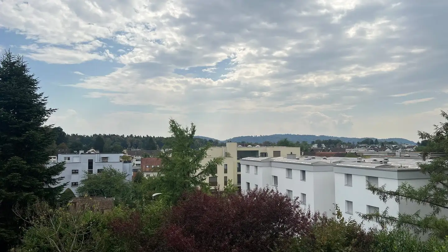 Appartamento in vendita - Im Tobelacher 1, 5406 Rütihof - Foto 2
