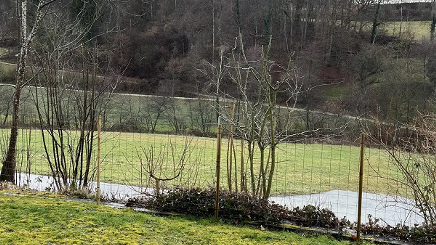 Appartamento in affitto - Rütihofstrasse 5, 5462 Siglistorf