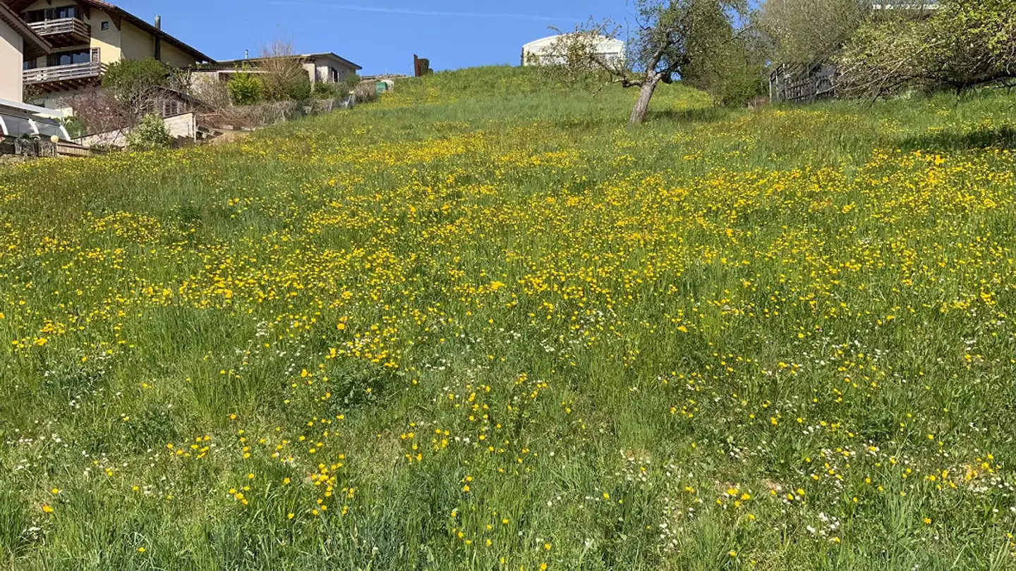 Terreno edificabile in vendita - 5079 Zeihen - Photo 2