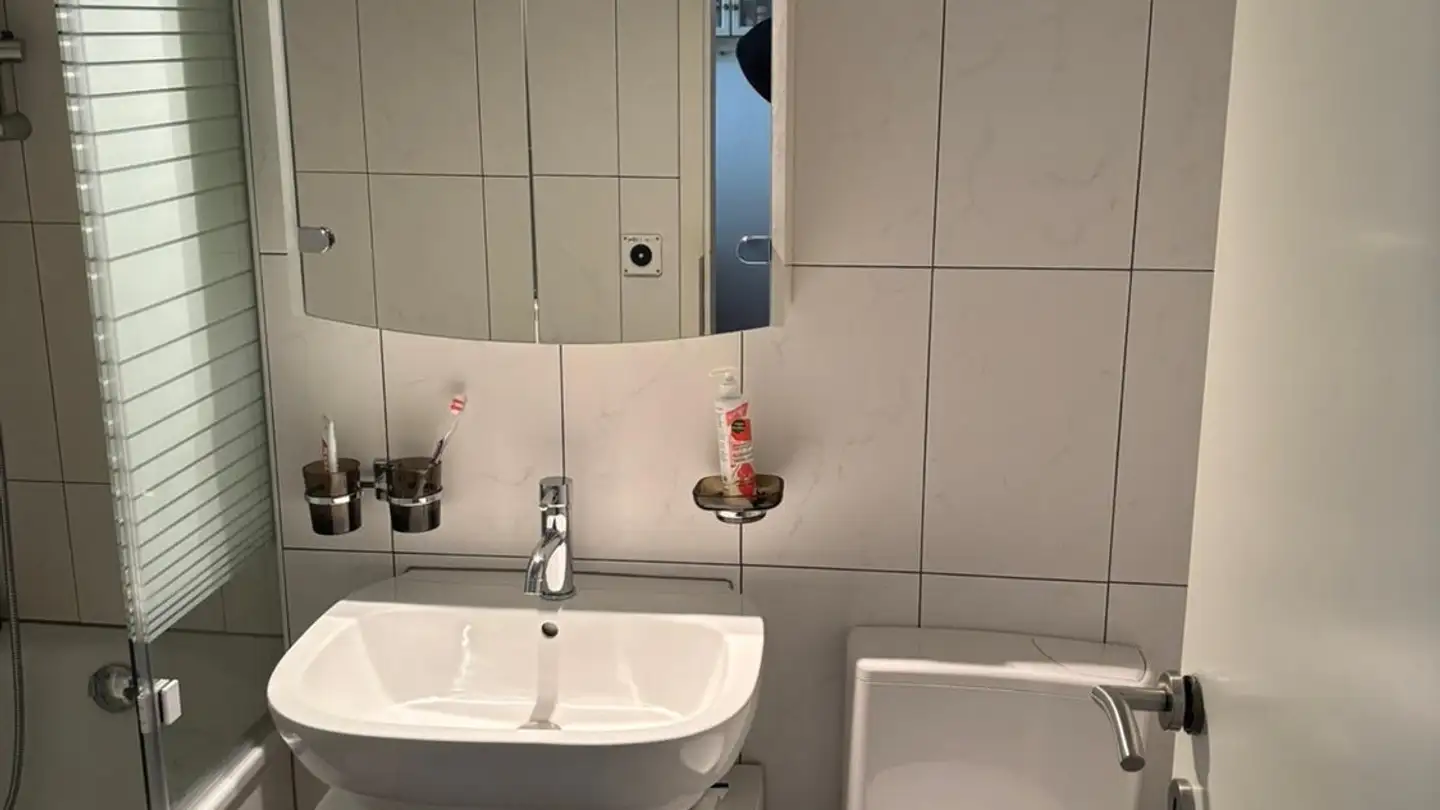 Wohnung mieten - Via Cantonale 58, 6574 Vira (Gambarogno) - Foto 2