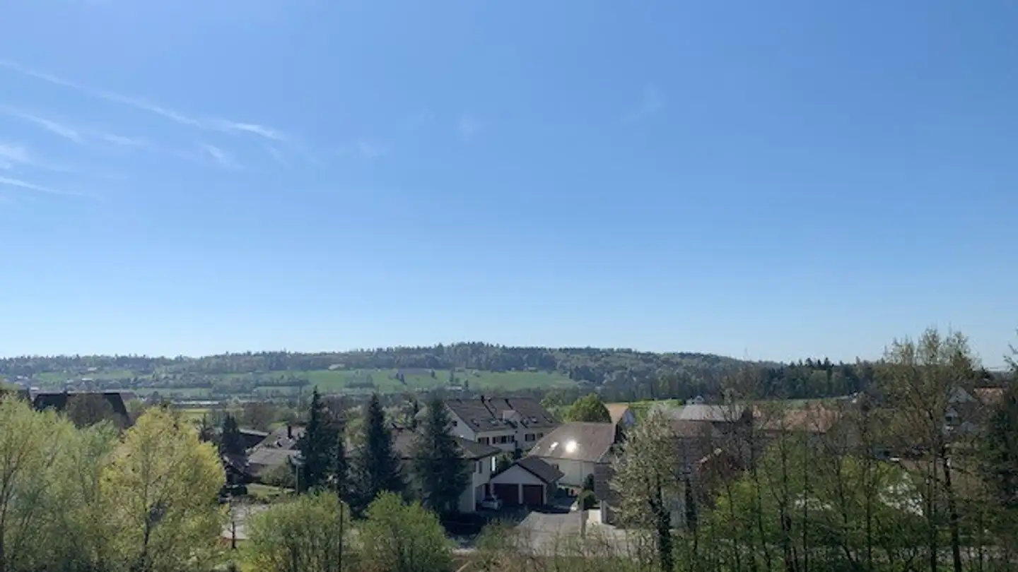 Appartamento in affitto - Hübeli 317, 4618 Boningen - Foto 3