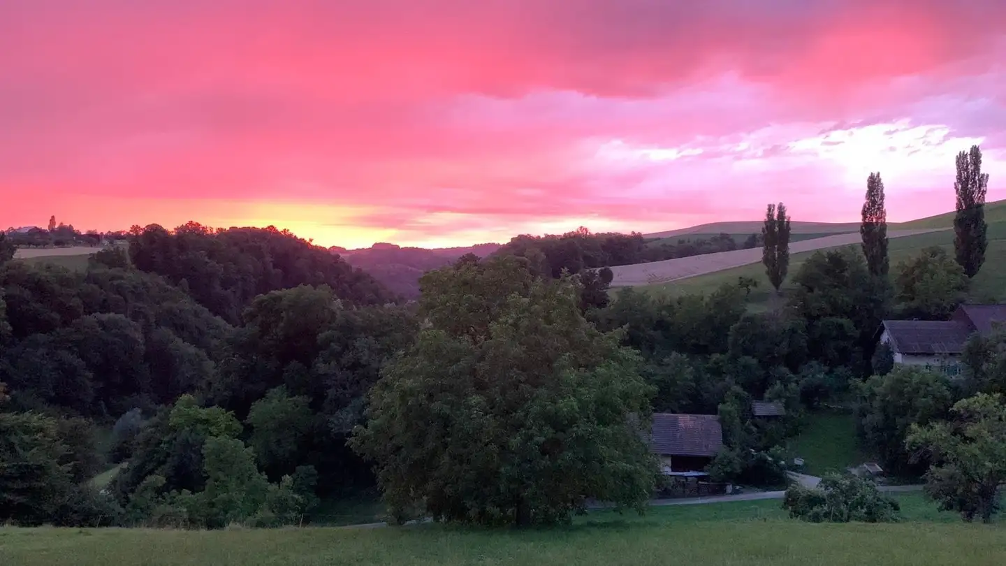 Single room for rent - Weidweg, 4445 Häfelfingen - Photo 3