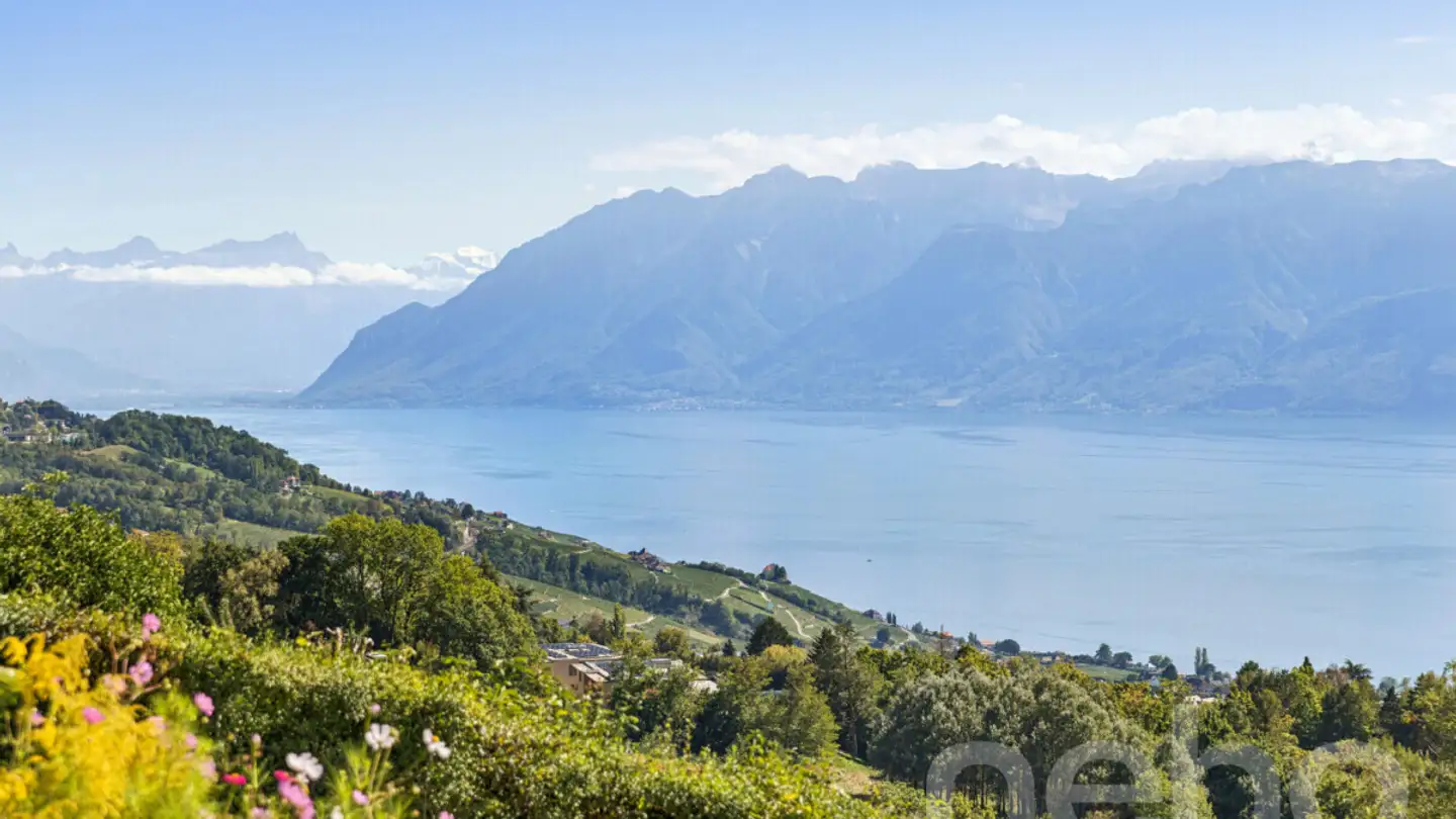 Einfamilienhaus kaufen - 1092 Belmont-sur-Lausanne - Foto 2