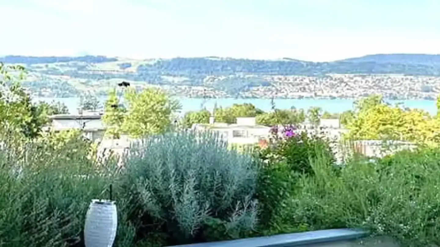 Haus kaufen - Burgstrasse 206, 8706 Meilen - Foto 3