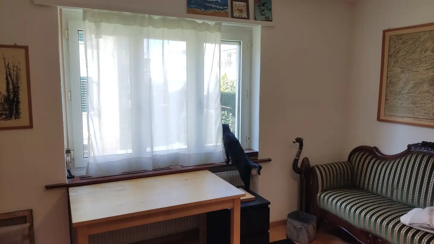 Chambre à louer - Kurvenstrasse 6, 8600 Dübendorf