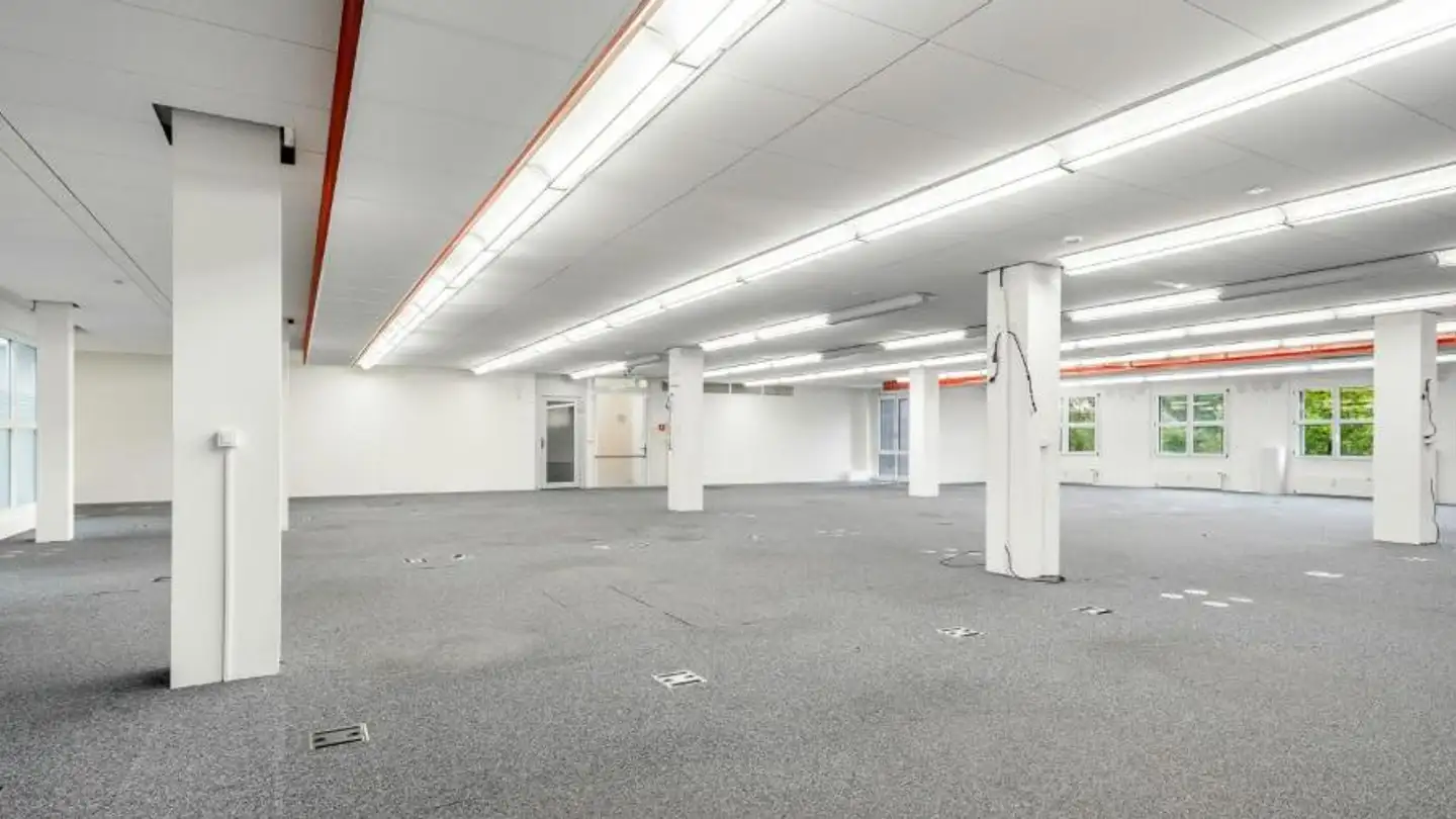 Gewerbe mieten - Lerzenstrasse 10, 8953 Dietikon
