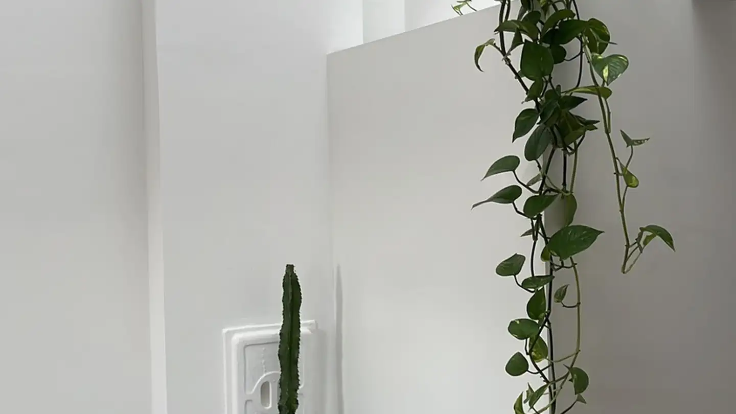 Apartment for rent - 4054 Basel - Photo 2