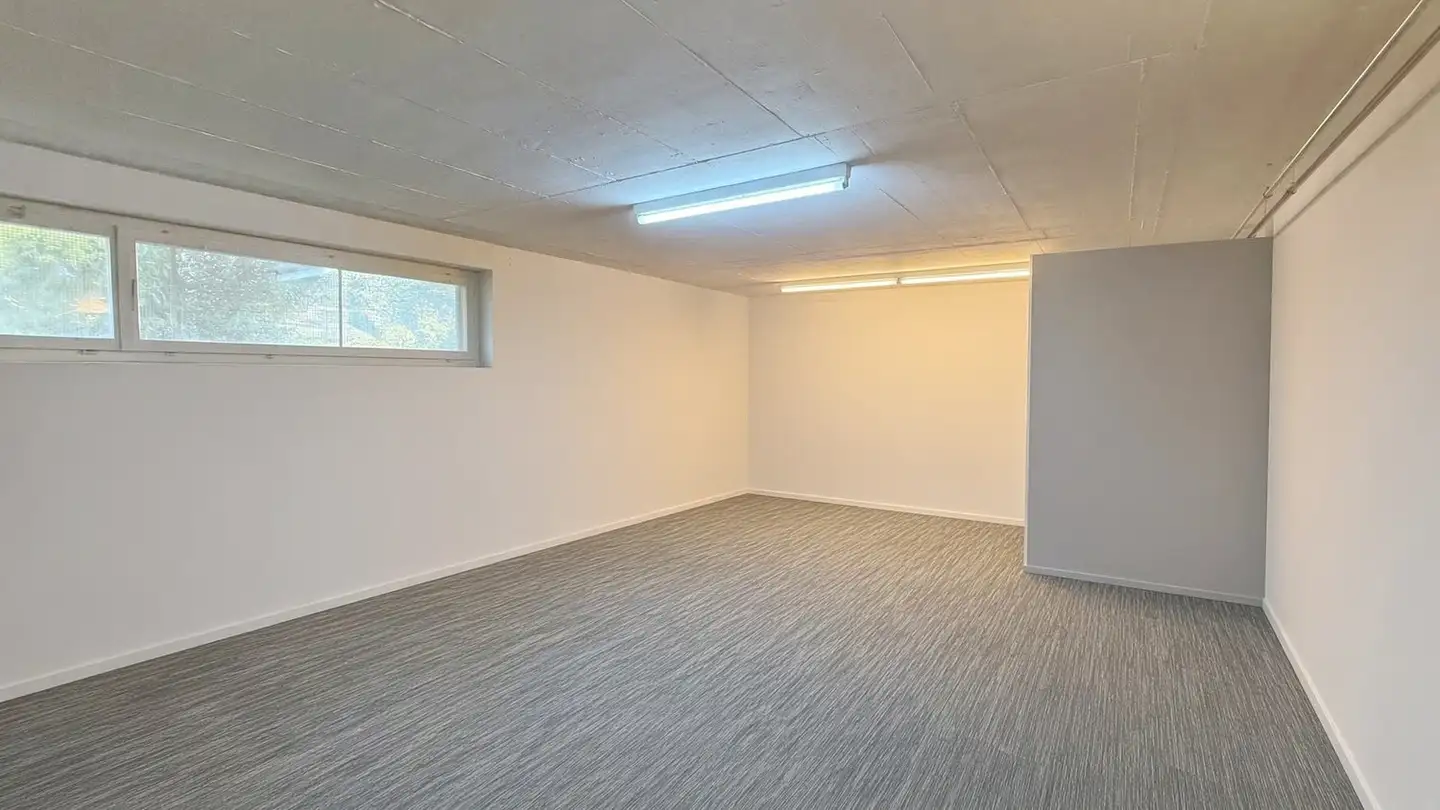 Sala hobby in vendita - Bruggwaldstrasse 62, 9008 St. Gallen - Foto 2