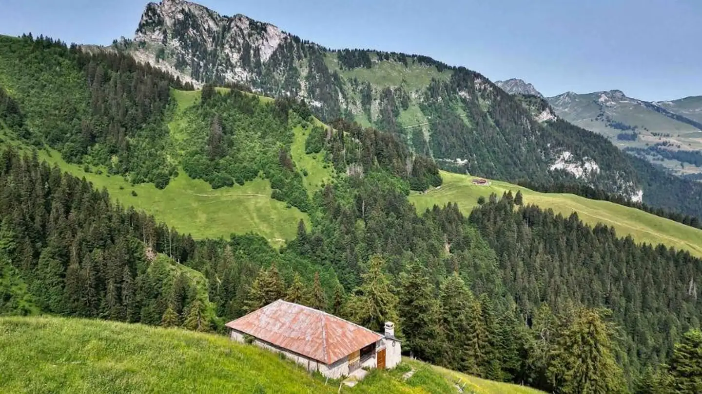 Chalet for sale - 1658 Rossinière - Photo 2