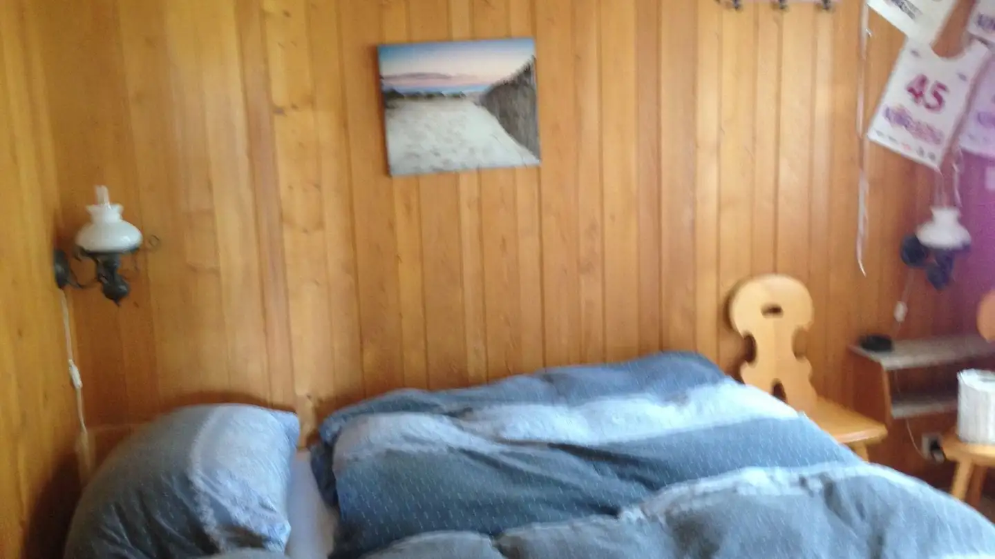 Appartamento in affitto - Obere Gletscherstrasse, 3818 Grindelwald - Foto 4