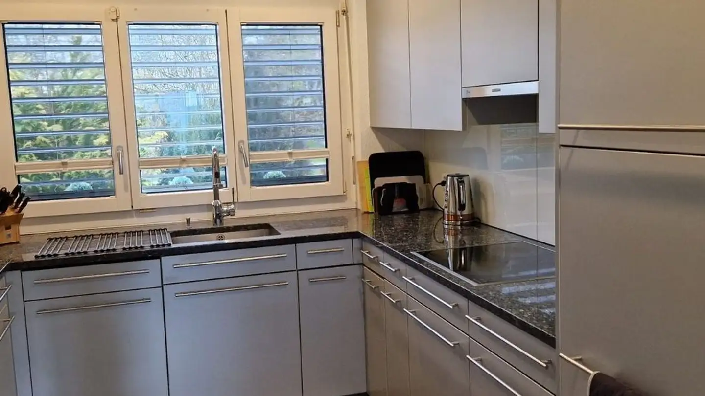 Row house for rent - Lielisloo 28, 8965 Berikon - Photo 2
