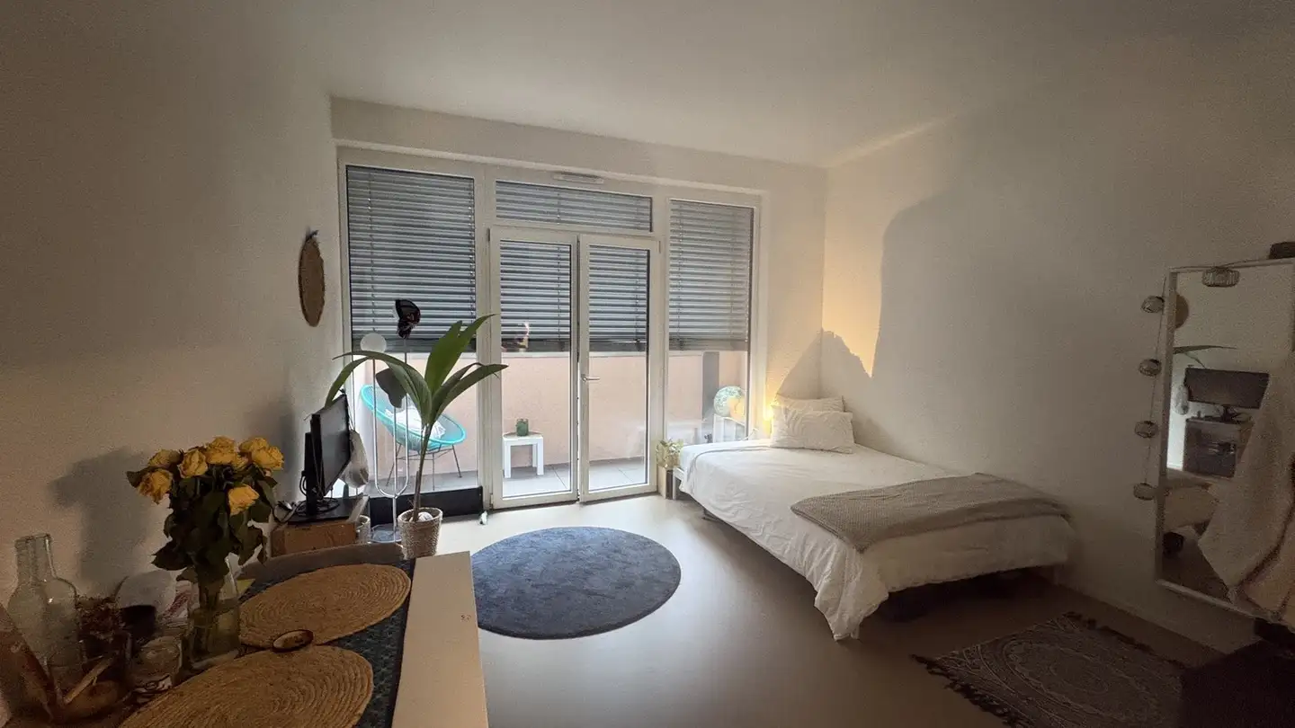 Appartamento in affitto - Avenue De Montoie, 1007 Lausanne