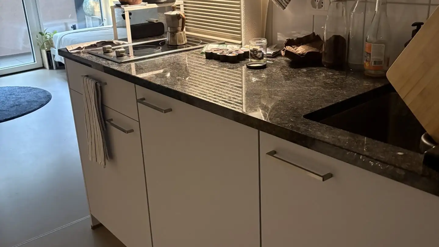 Appartamento in affitto - Avenue De Montoie, 1007 Lausanne - Foto 3