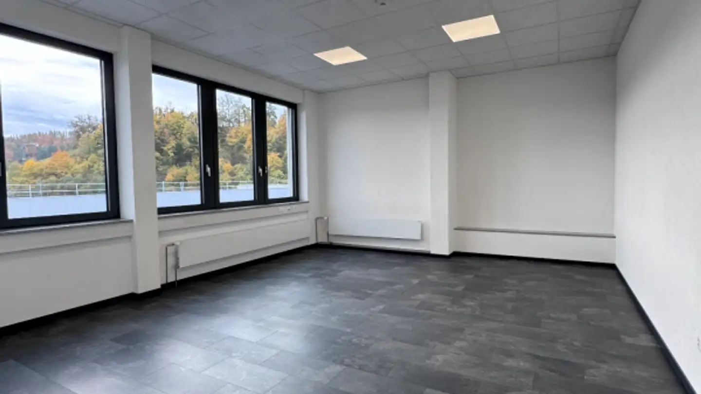 Gewerbe mieten - Industriestrasse 15, 4410 Liestal - Foto 4