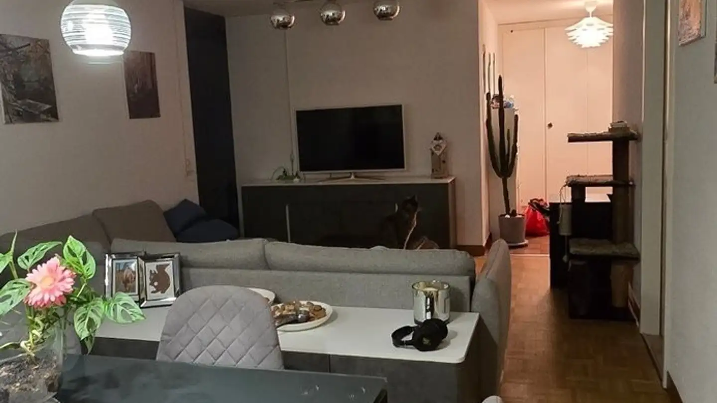 Apartment for rent - 1196 Gland - Photo 3