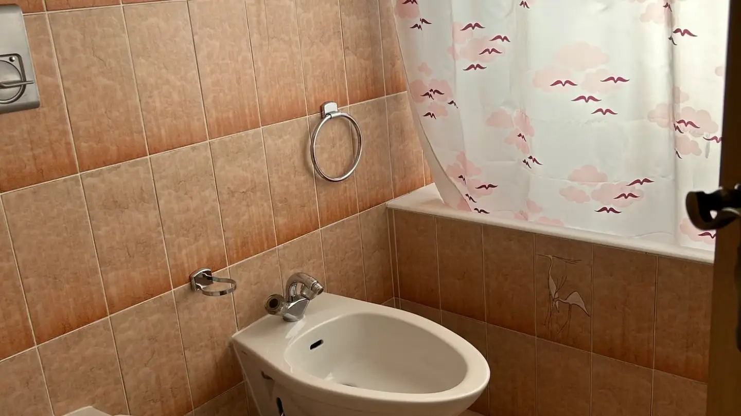 Stanza singola in affitto - Via Alla Motta 47, 6517 Arbedo - Photo 3