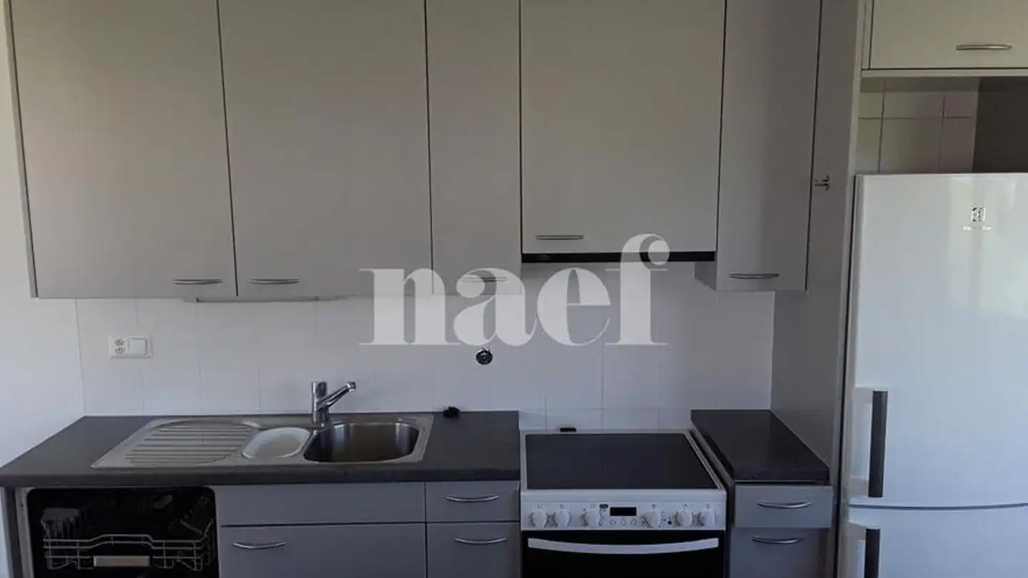 Appartamento in affitto - Route De Ferney 218, 1218 Le Grand-Saconnex - Foto 4