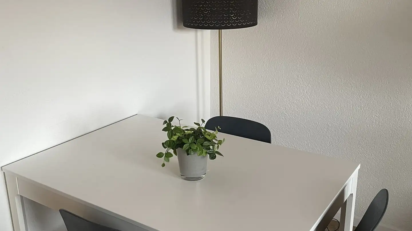 Appartamento in affitto - Weite Gasse, 5400 Baden - Photo 3