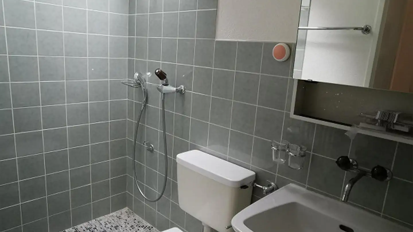 Apartment for rent - Geissbühlstrasse 10, 8353 Elgg - Photo 4