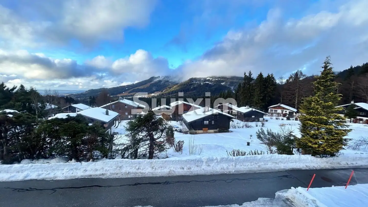 Chalet for sale - 1619 Les Paccots