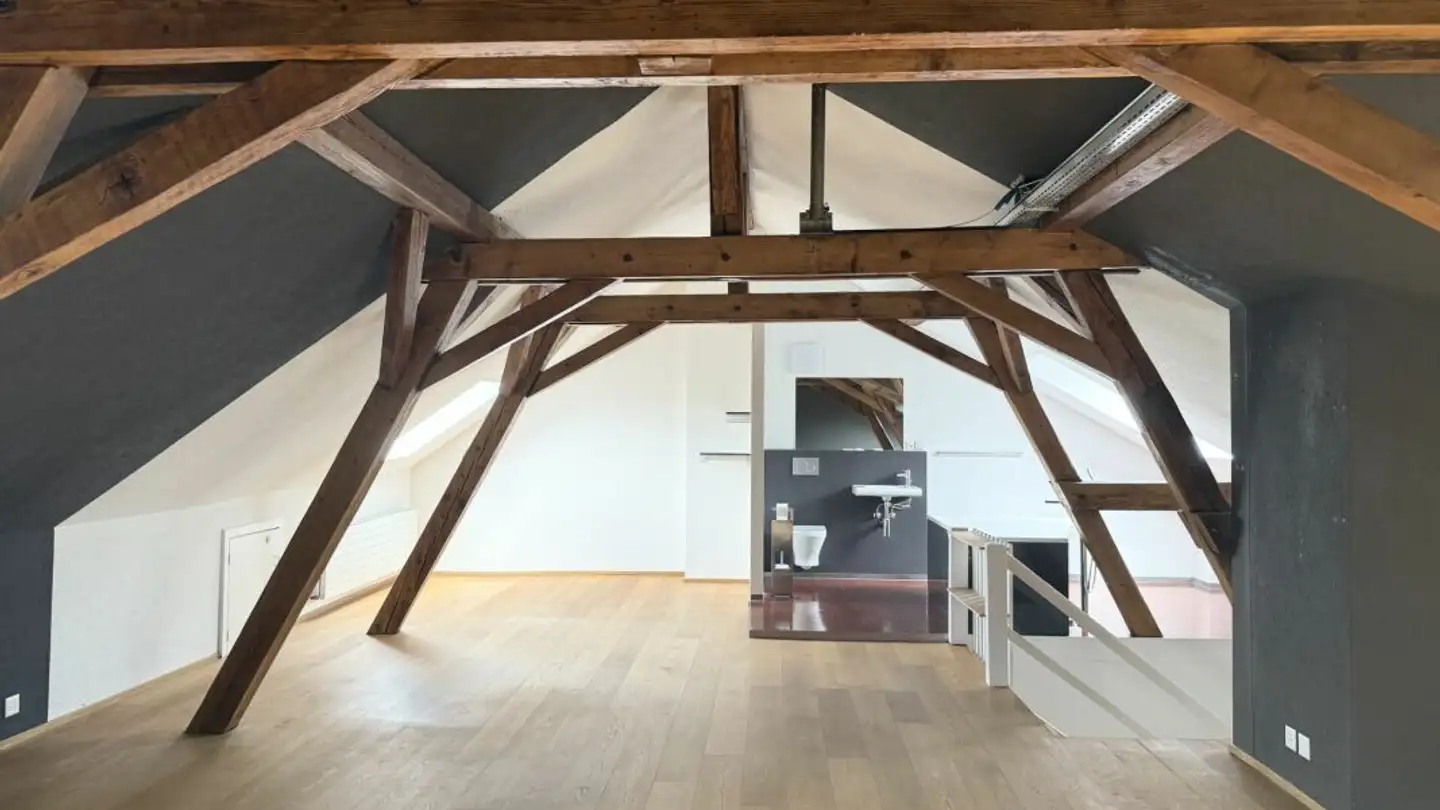 Single house for rent - Lothringerstrasse 106, 4056 Basel