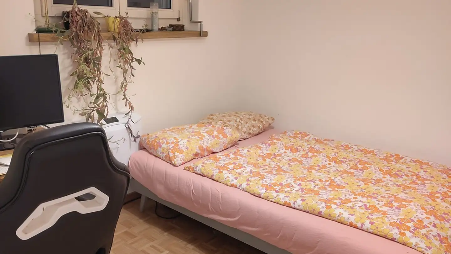 Zimmer mieten - 8051 Zürich