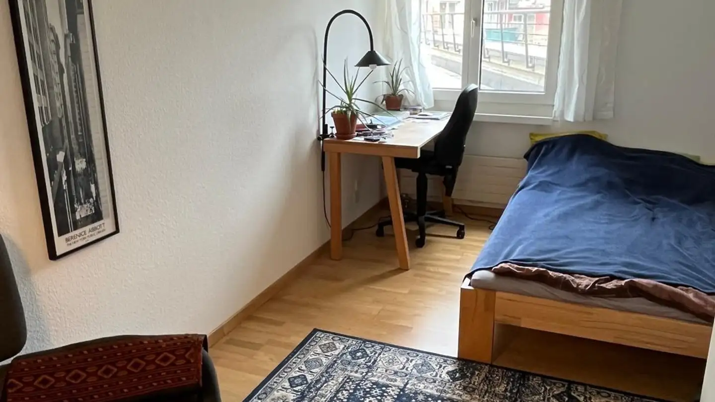 Chambre à louer - Wallisellenstrasse 3, 8050 Zürich - Photo 3