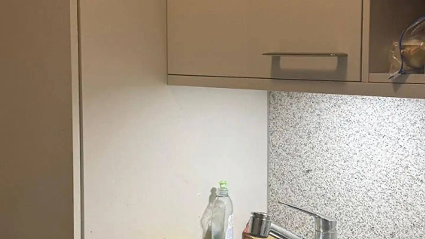 Appartamento in affitto - Allschwilerstrasse 36, 4055 Basel - Foto 4