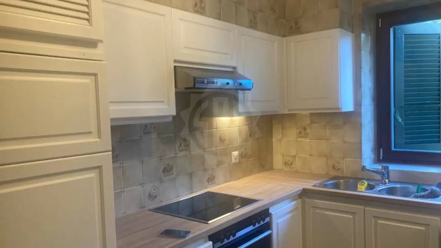 Appartamento in affitto - Chemin De La Greube 8, 1214 Vernier