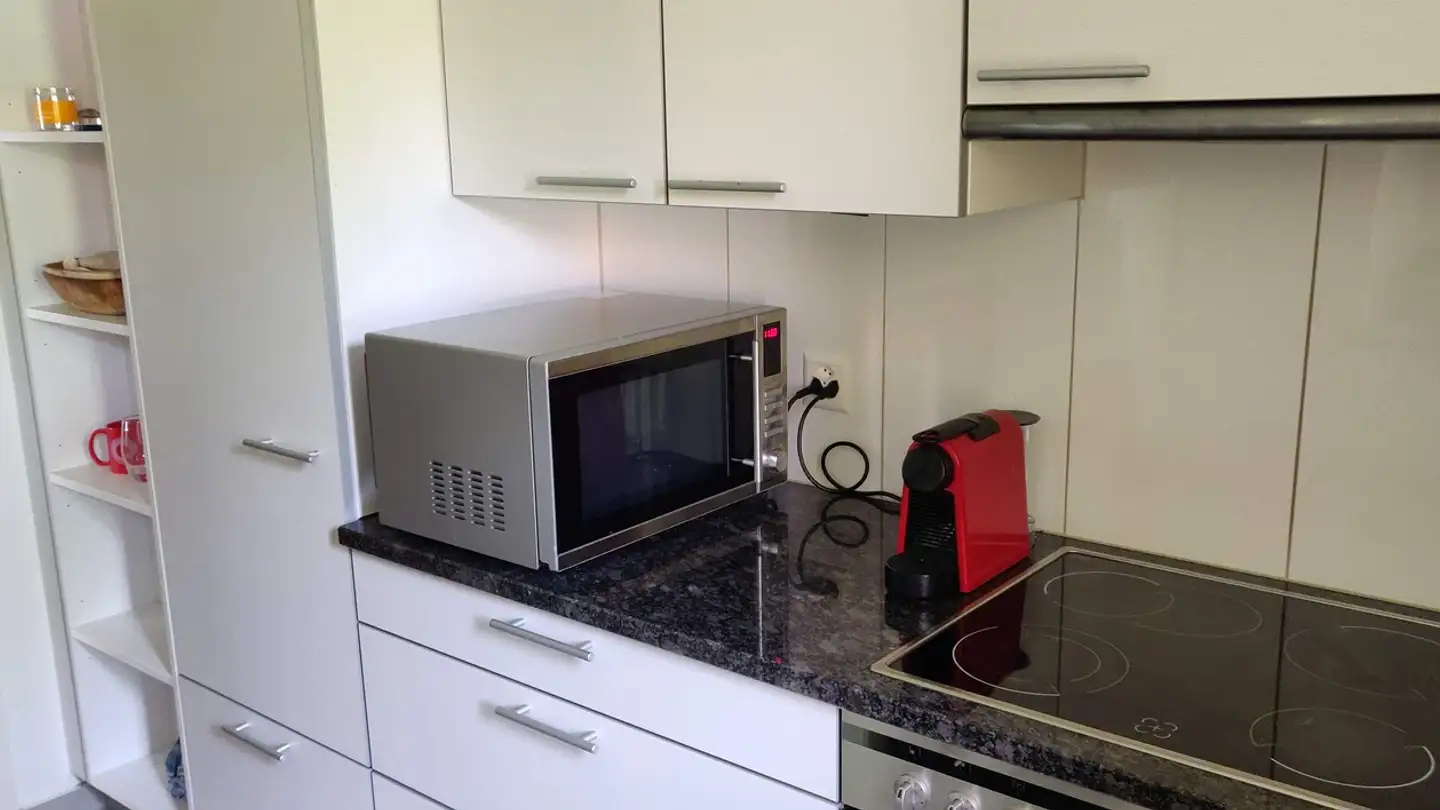 Chambre à louer - Grünaustrasse 9, 8064 Zürich - Photo 3
