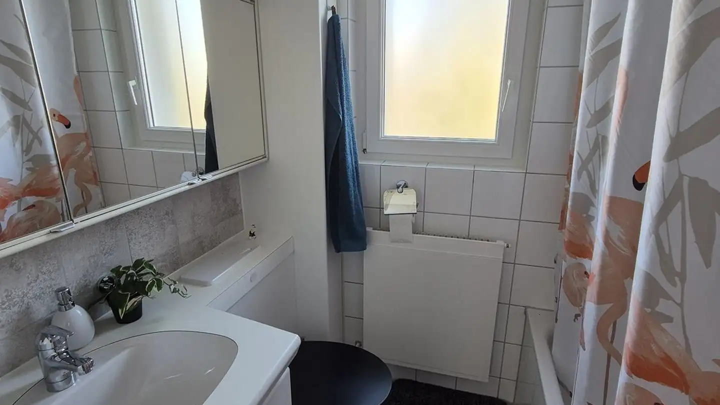 Single room for rent - 6005 Luzern - Photo 4