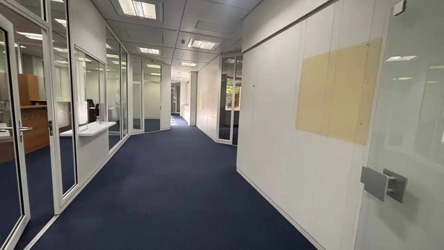 Gewerbe mieten - Route De Pré-Bois 20, 1215 Genève - Foto 4