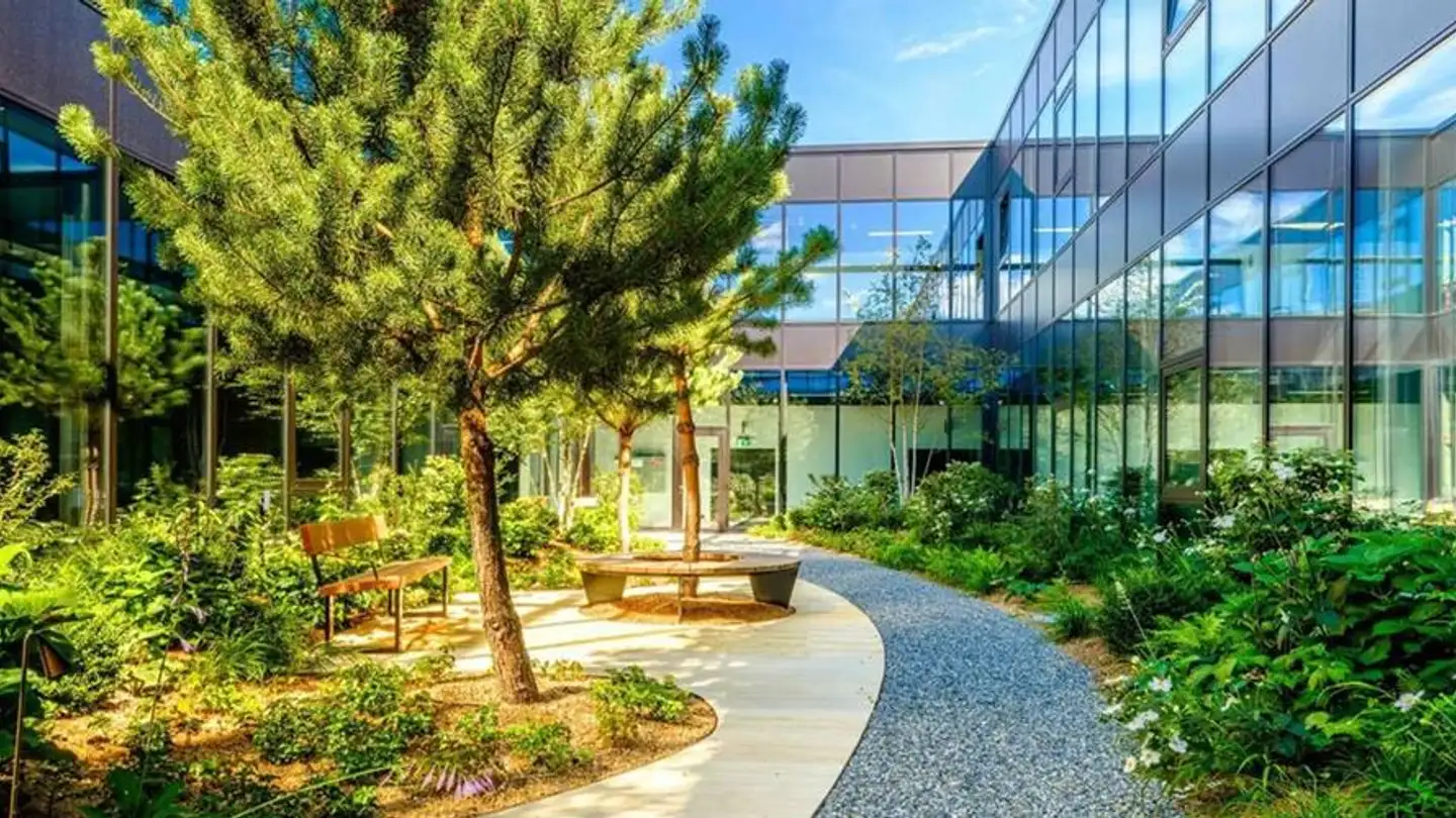 Commerciale in affitto - Chemin De Préveyres 11, 1131 Tolochenaz - Foto 4