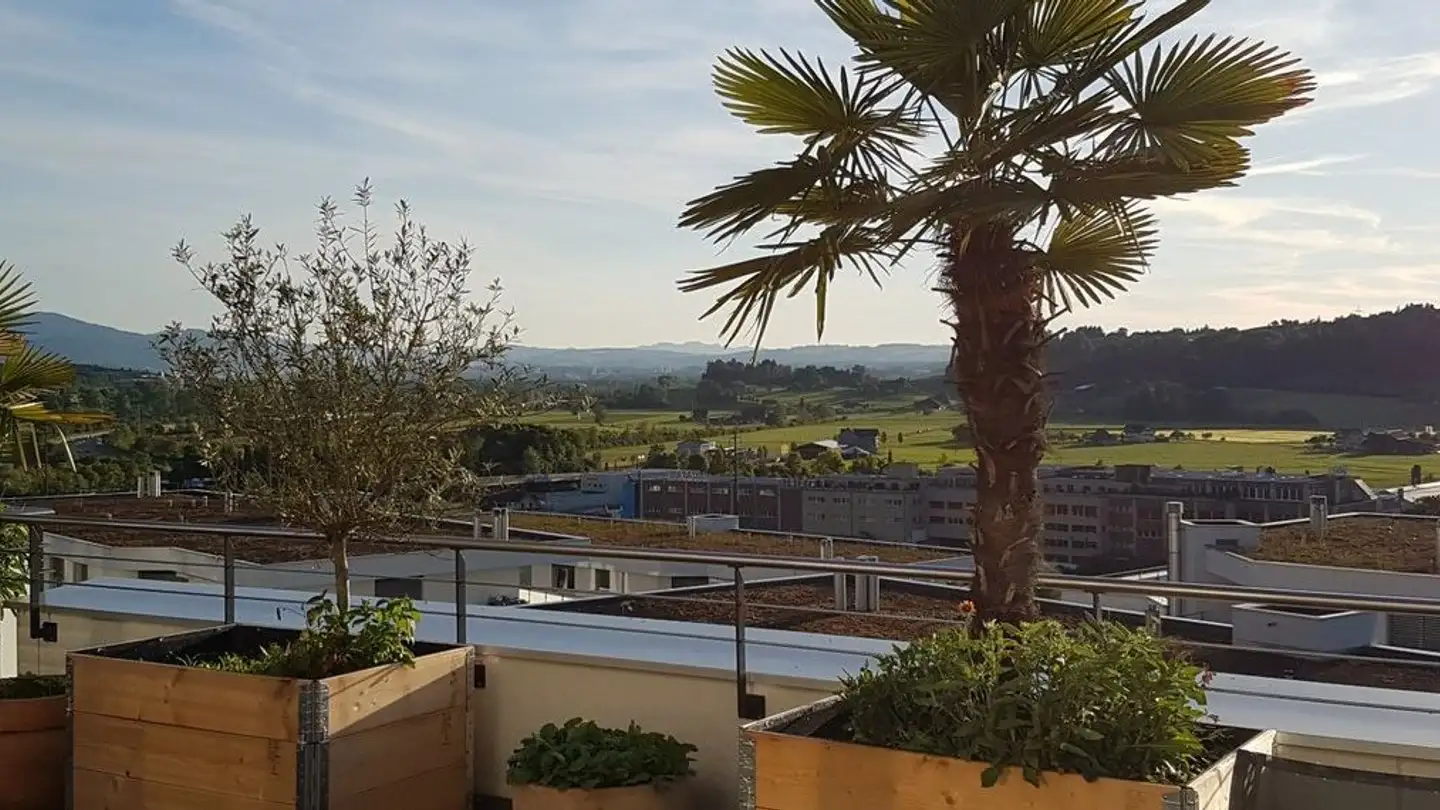 Zimmer mieten - Weitblick 5, 6038 Gisikon