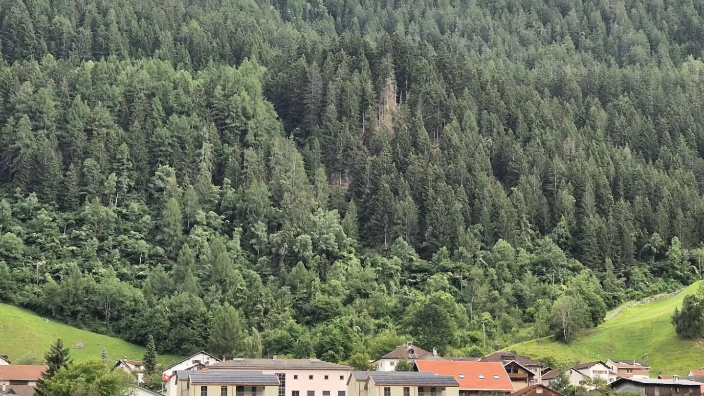 Appartamento in vendita - Veia San Martin, 7432 Zillis - Photo 3