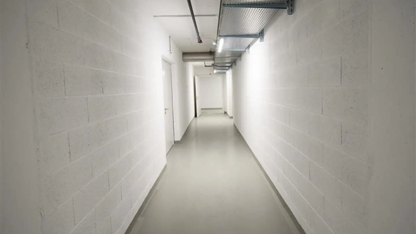 Espace de stockage à louer - Route Du Grand-Lancy, 1212 Grand-Lancy - Photo 2