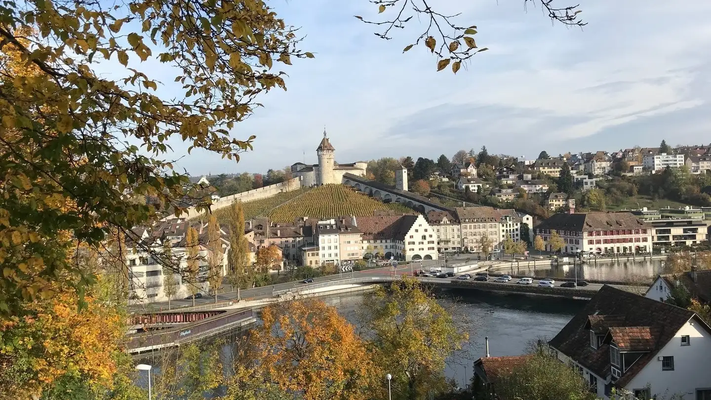 Wohnung mieten - Im Stägli 5, 8245 Feuerthalen - Foto 3