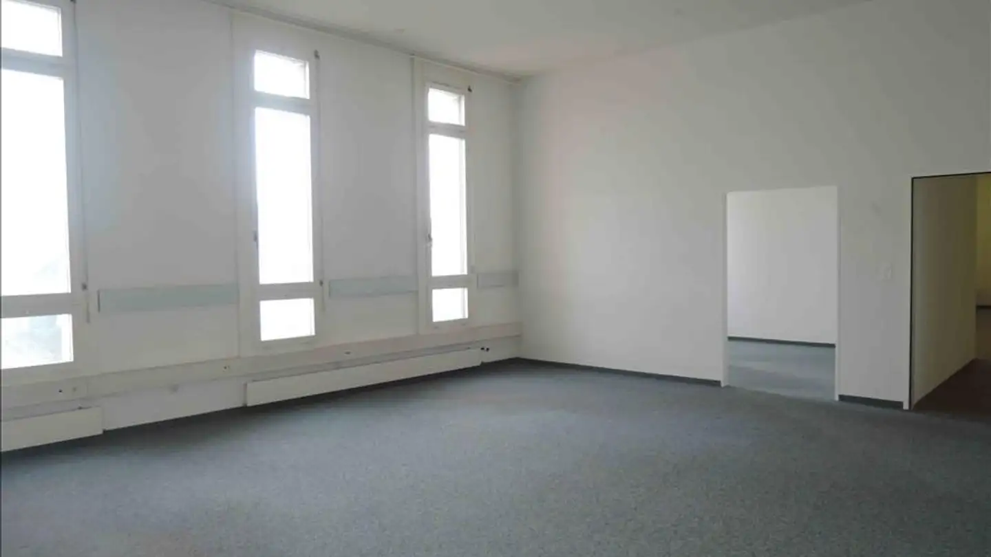 Gewerbe mieten - Ländernachstrasse 9, 9435 Heerbrugg - Foto 2