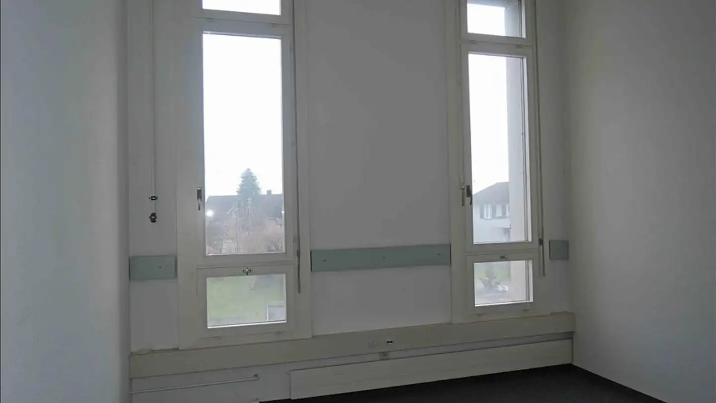 Gewerbe mieten - Ländernachstrasse 9, 9435 Heerbrugg - Foto 4