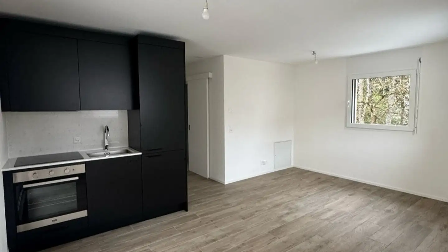 Wohnung mieten - Chemin De Boissonnet, 1010 Lausanne - Foto 3