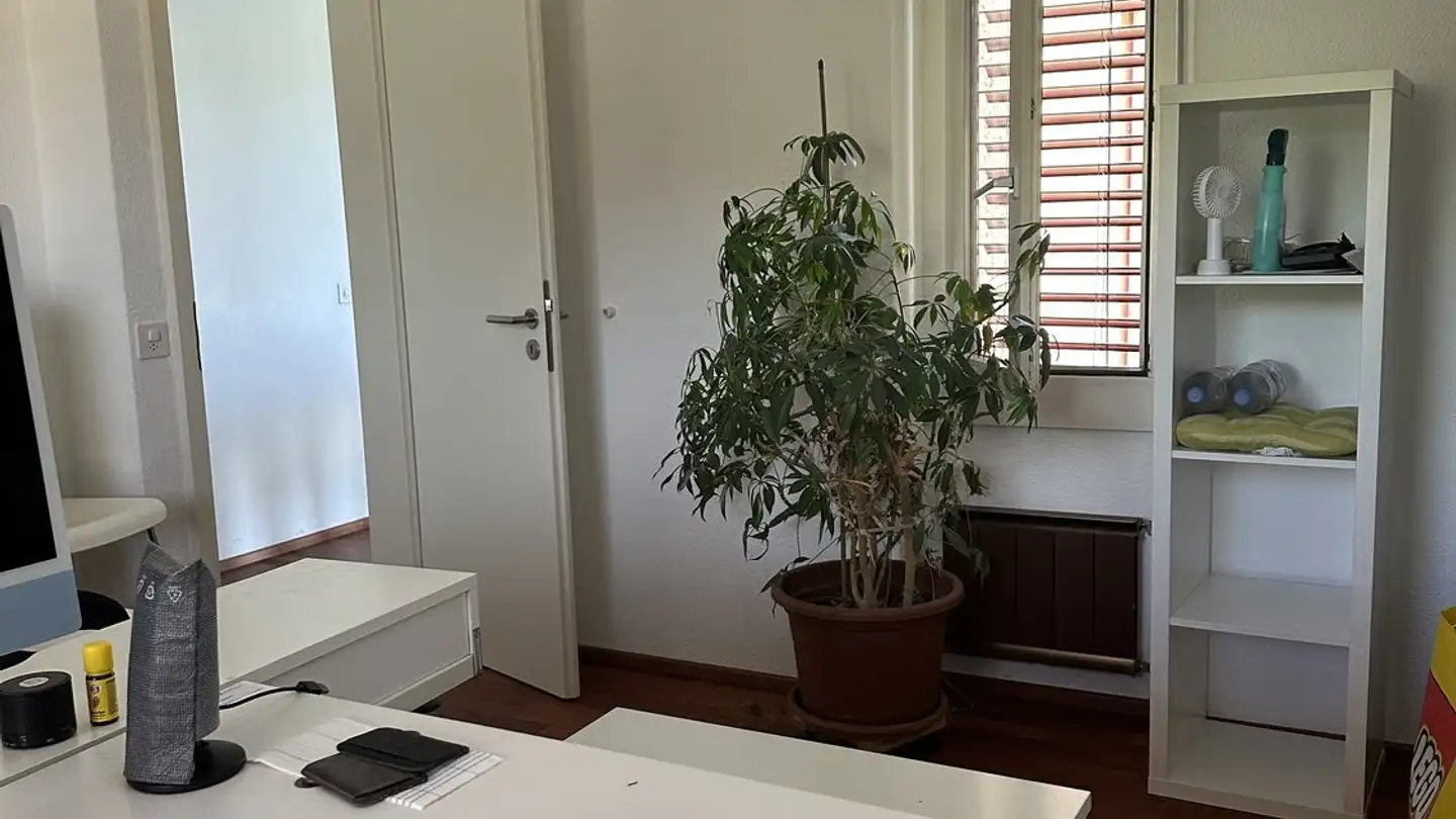 Appartamento ammobiliato in affitto - Sternenstrasse 28E, 8903 Birmensdorf ZH - Foto 2